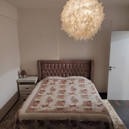 The Unique Apartment Roşu Eksteriør bilde