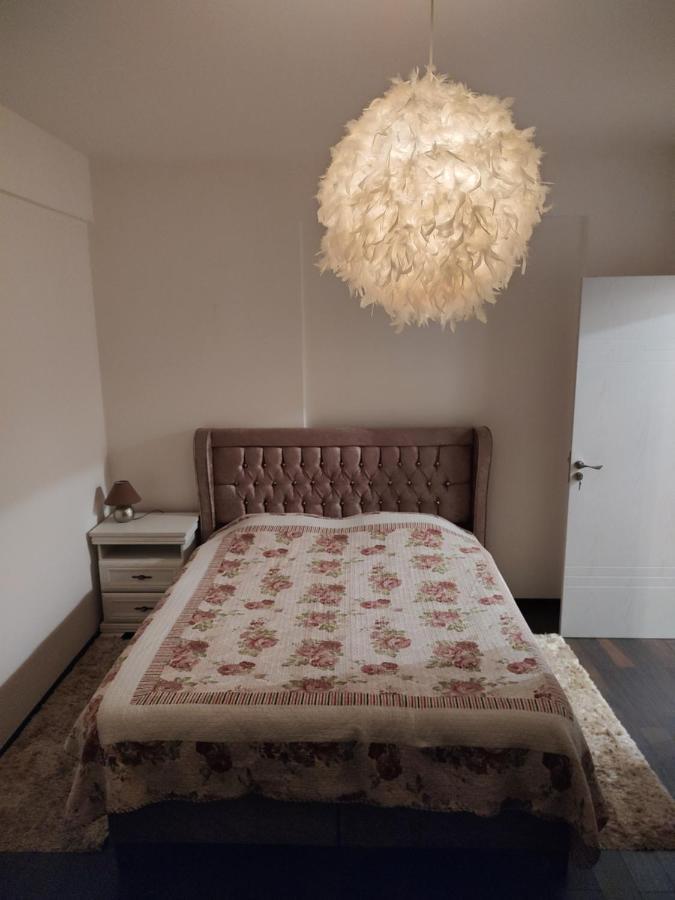 The Unique Apartment Roşu Eksteriør bilde